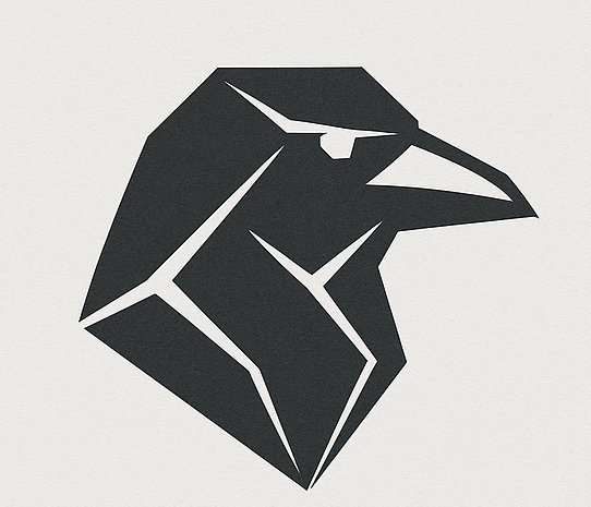 RavenRock Ventures logo
